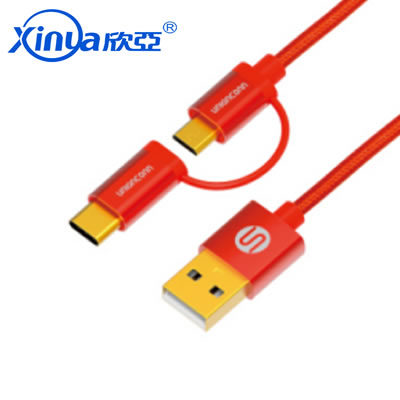 2 in 1 Nylon  Micro TYPE C  Cable