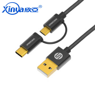 2 in 1 Nylon Micro TYPE C Cable